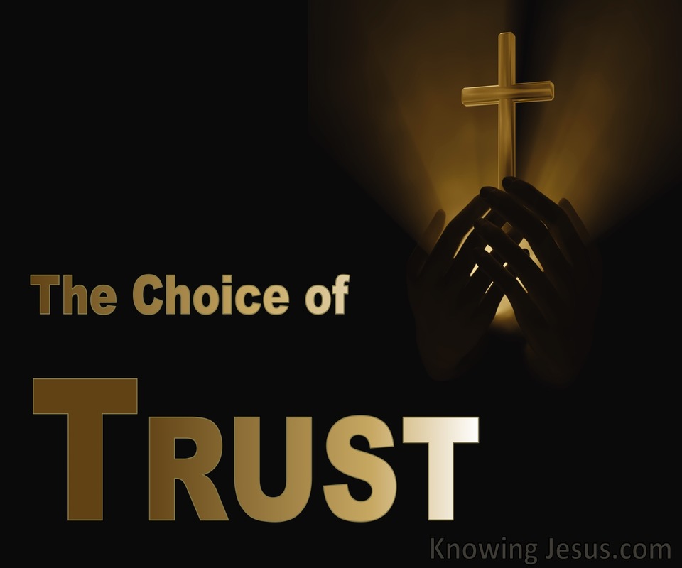 The Choice of Trust (devotional)06-25 (brown)